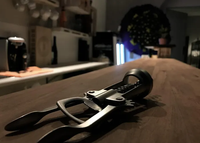 Minihostel 12monkeys Kudamm * برلين